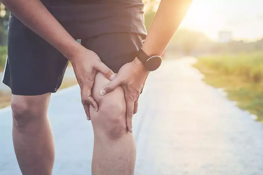 Fysiotherapie Voorste Kruisband