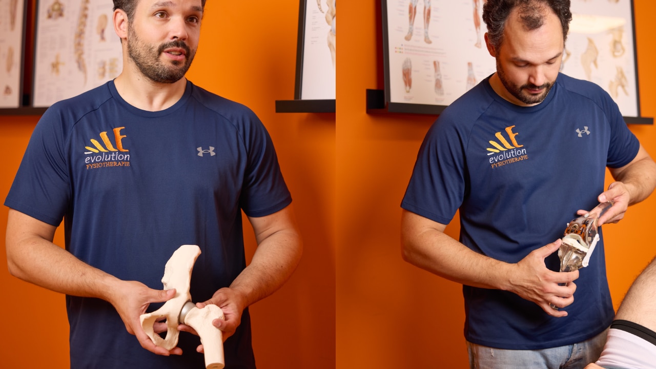 Nieuwe heup knie evolution fysiotherapie
